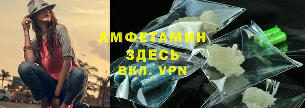 стаф Аркадак