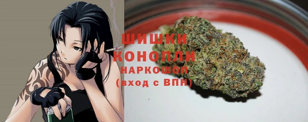 стаф Аркадак