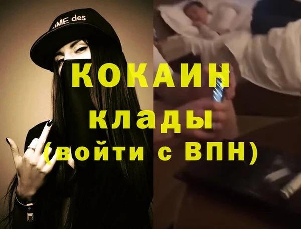 стаф Аркадак