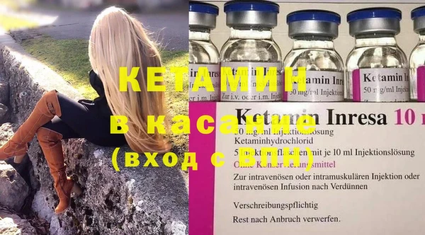 стаф Аркадак