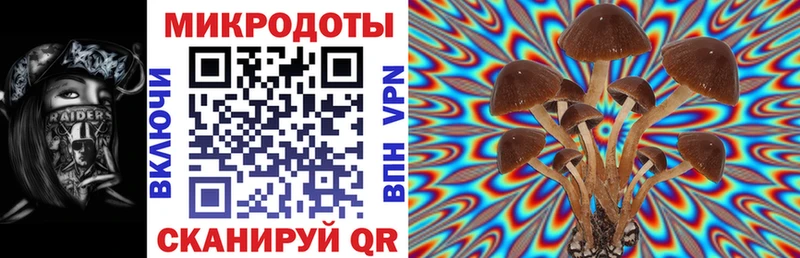 MEGA ТОР  Пущино  Галлюциногенные грибы GOLDEN TEACHER  закладки 