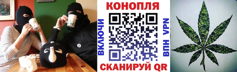 Бошки Шишки план Пущино